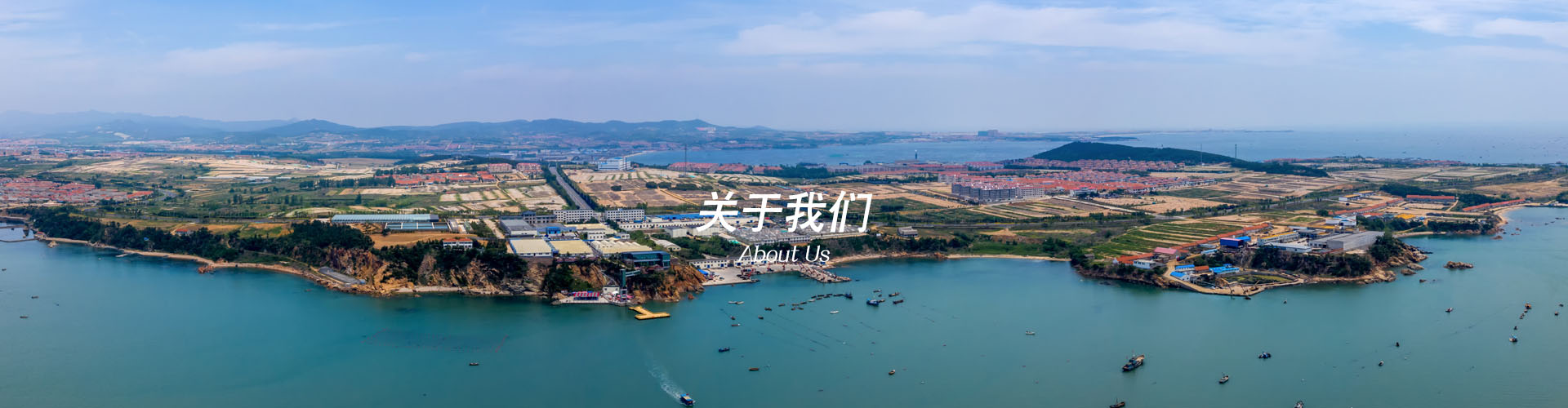 集團(tuán)簡介